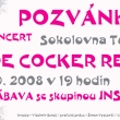 Vstupenka na koncert