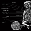 zadn� panel split LP Risposta/Roxor