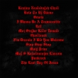 Zadn� strana LP - Bra�o Alex ‎- This Is Punkrock From Transylvania